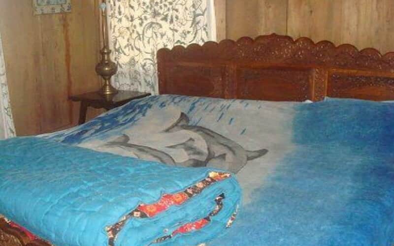 Princess Palace Group of Houseboats, Srinagar 4